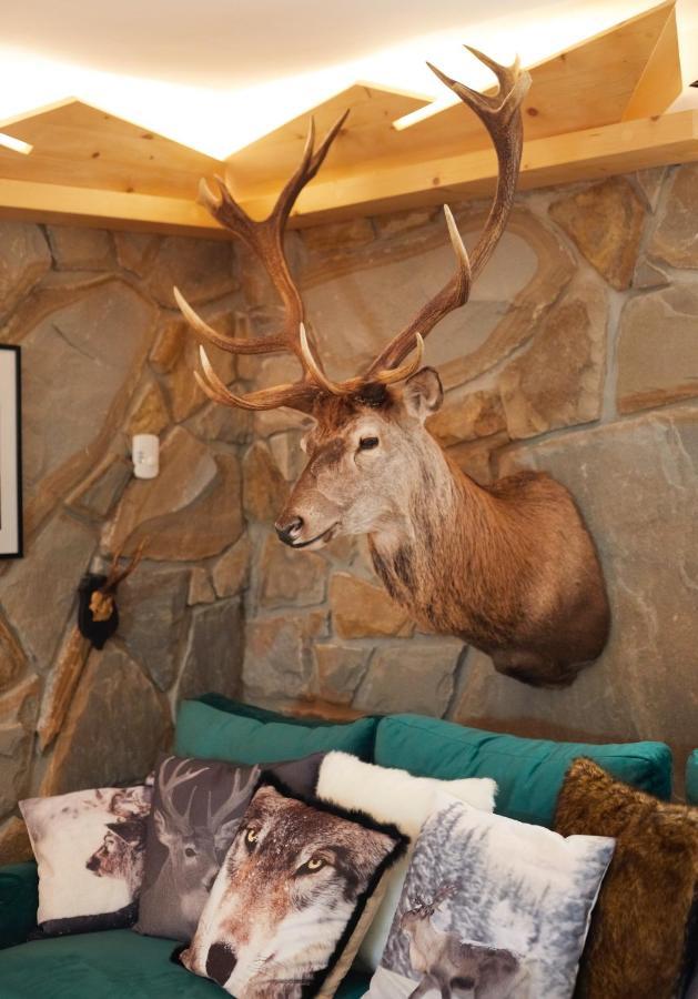 Witkowka Wild Luxury - Sauna & X Adults Only Apartment *